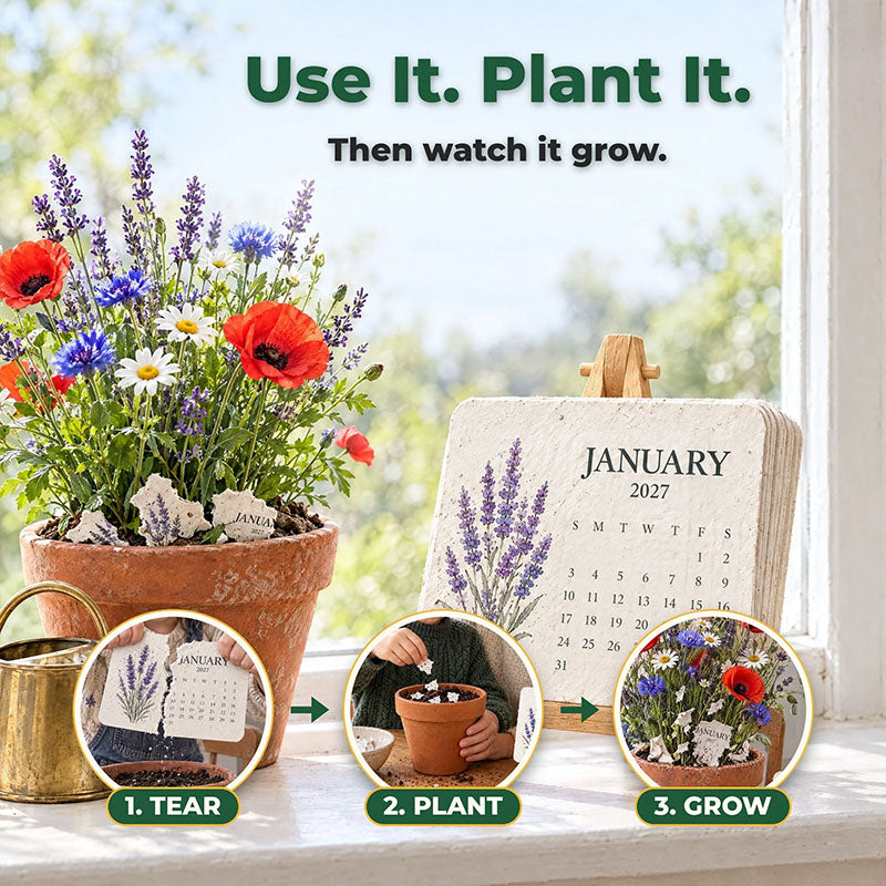 👩‍👦2027 Plantable Calendar – Use It. Plant It. Watch It Grow.